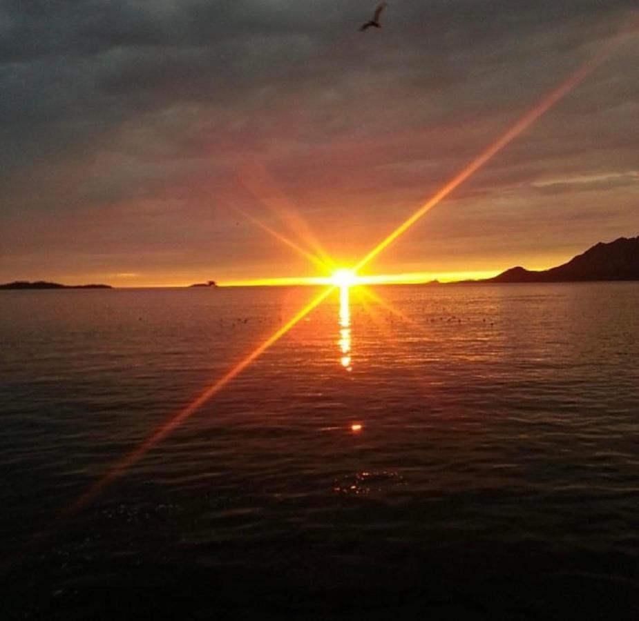 Senja Living Aparthotel Stonglandseidet Εξωτερικό φωτογραφία