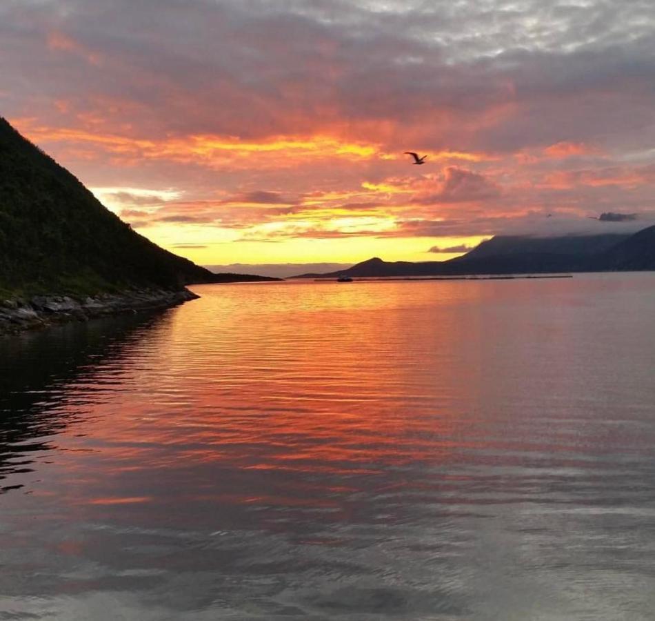 Senja Living Aparthotel Stonglandseidet Εξωτερικό φωτογραφία