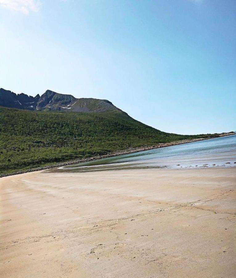 Senja Living Aparthotel Stonglandseidet Εξωτερικό φωτογραφία