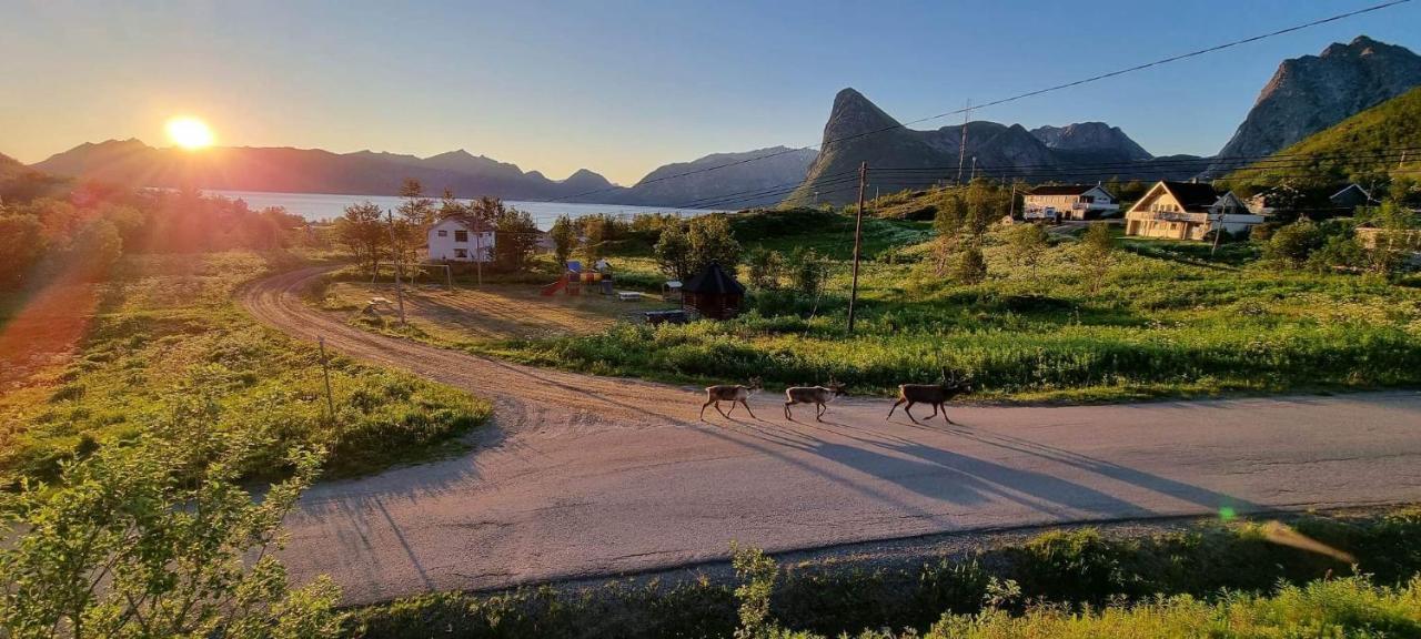Senja Living Aparthotel Stonglandseidet Εξωτερικό φωτογραφία